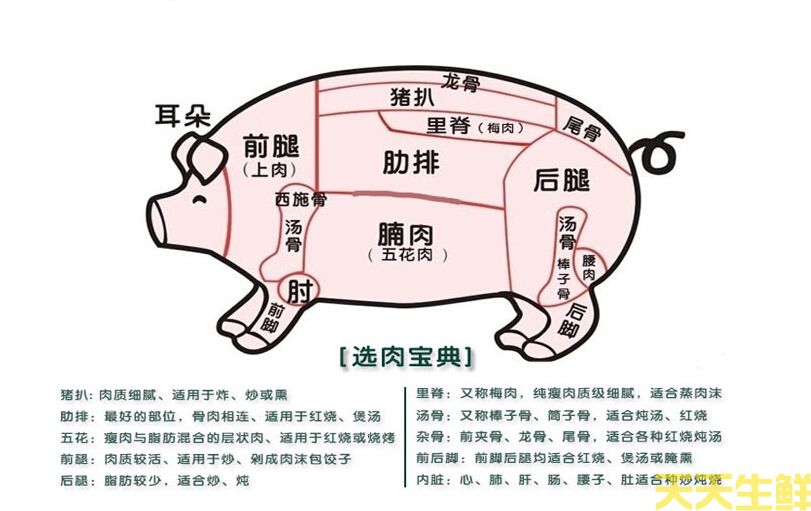 豬身上各部位圖片全解(圖1)