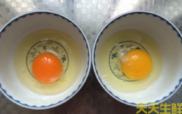 廣州蔬菜配送告訴你常見雞蛋有哪些品種？(圖2)