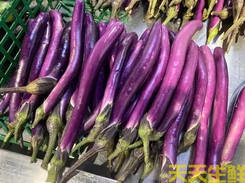 廣州農(nóng)產(chǎn)品配送公司告訴你，常見茄子的種類有哪些？(圖3)