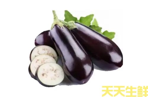 廣州農(nóng)產(chǎn)品配送公司告訴你，常見茄子的種類有哪些？(圖4)