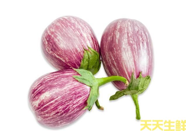 廣州農(nóng)產(chǎn)品配送公司告訴你，茄子的種類有哪些？(圖5)