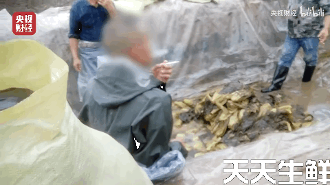 廣州蔬菜配送公司分析，土坑酸菜到底坑害了誰？(圖2)