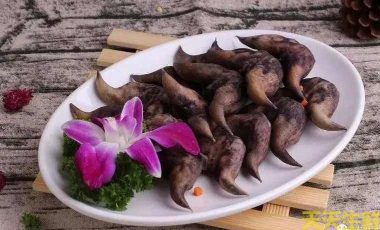 廣州蔬菜配送公司告訴你，菱角怎么吃？(圖2)