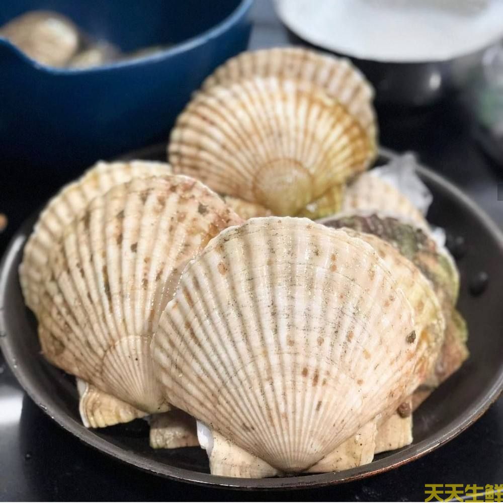 廣州送菜公司分享：常見(jiàn)的海鮮貝類有哪些？(圖5)