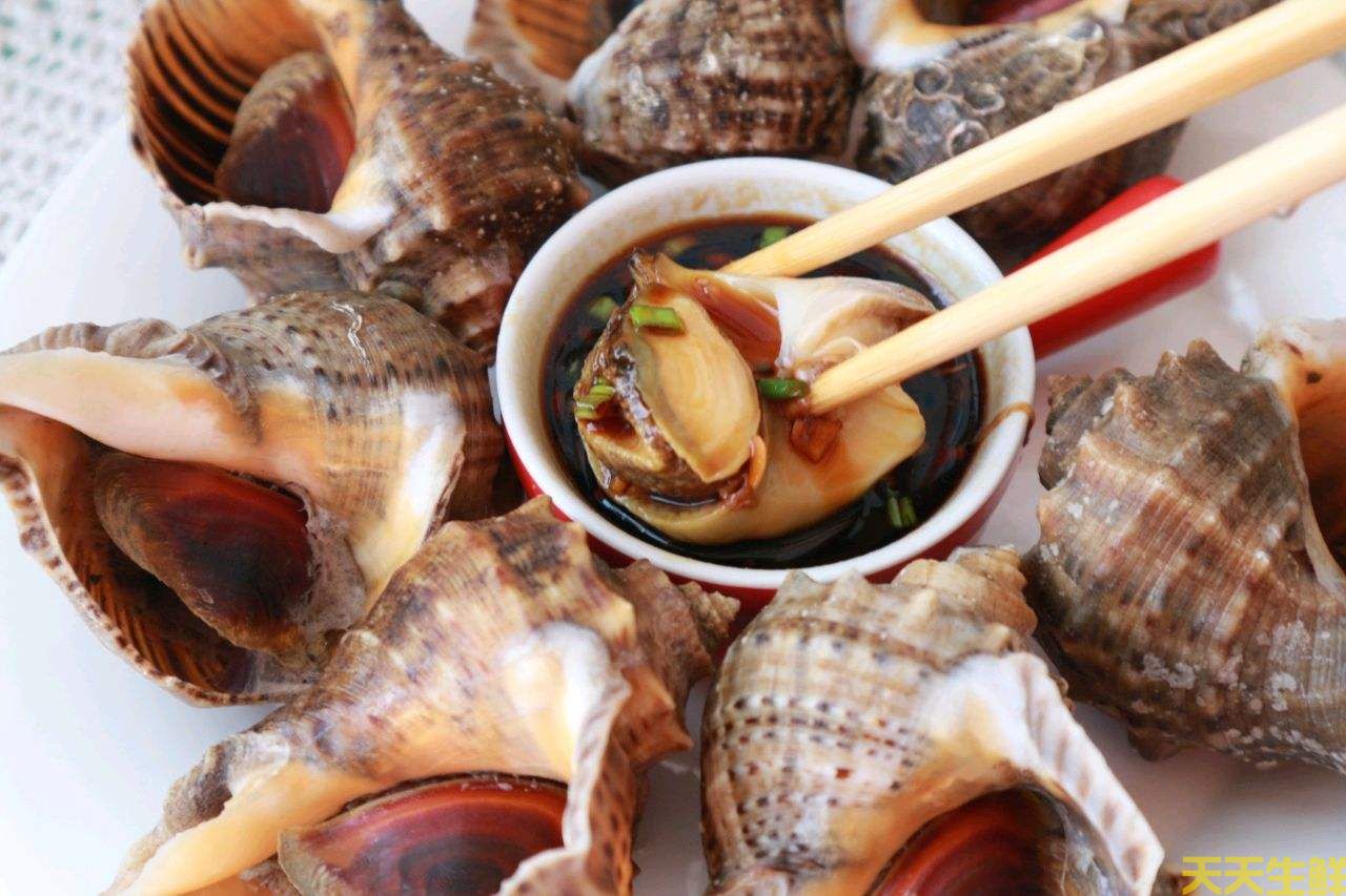 廣州送菜公司分享：常見(jiàn)的海鮮貝類有哪些？(圖10)
