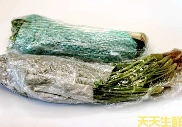 廣州蔬菜配送公司告訴你，蔬菜如何保鮮？(圖2)