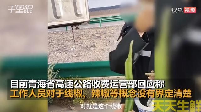 線椒不是辣椒，不能走綠色通道？廣州蔬菜配送公司有話要說(圖3)