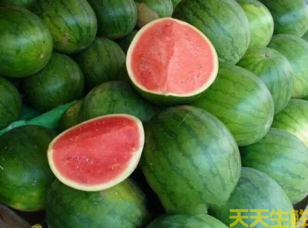 廣州蔬菜配送公司分享:常見西瓜的品種有哪些？(圖4)