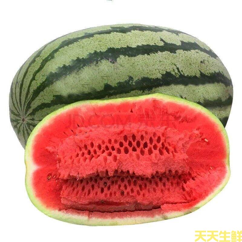 廣州蔬菜配送公司分享:常見西瓜的品種有哪些？(圖5)