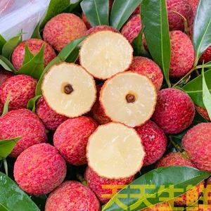 荔枝的品種有哪些？廣州蔬菜配送公司科普(圖3)