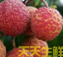 荔枝的品種有哪些？廣州蔬菜配送公司科普(圖15)