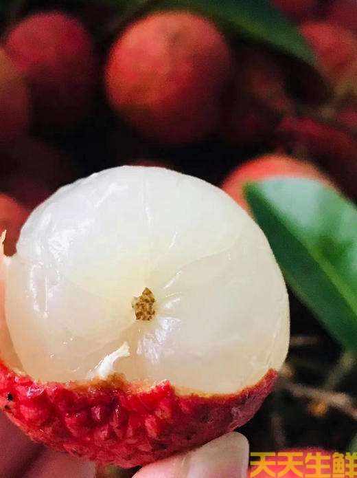 荔枝的品種有哪些？廣州蔬菜配送公司科普(圖16)