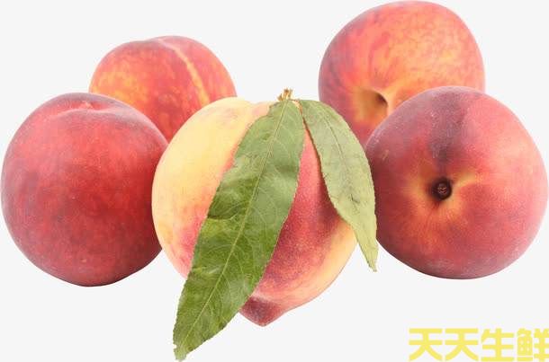 夏季炎熱吃什么水果好？廣州蔬菜配送公司分享6種消暑水果(圖2)
