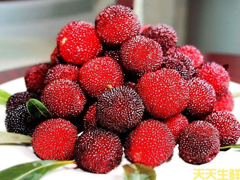 夏季炎熱吃什么水果好？廣州蔬菜配送公司分享6種消暑水果(圖6)